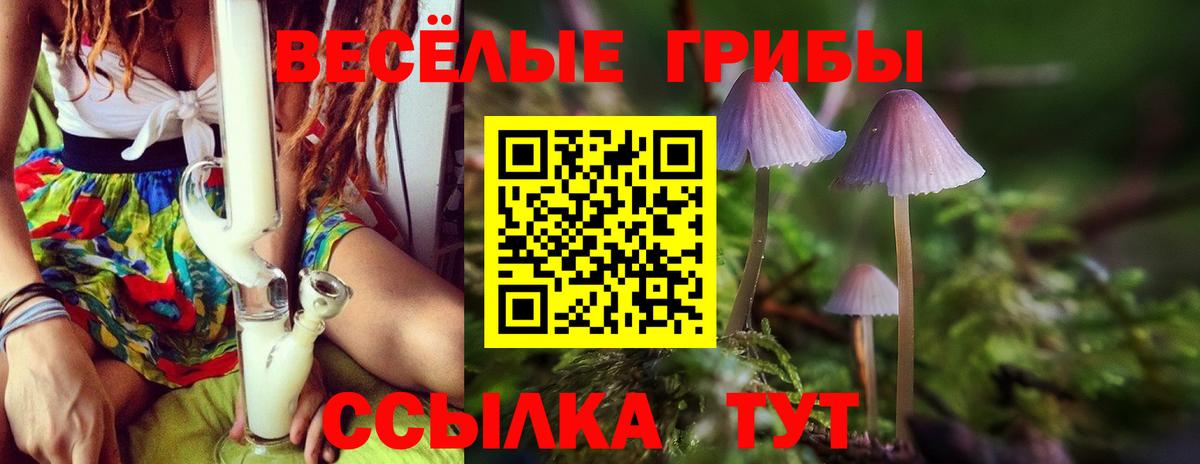Галлюциногенные грибы Psilocybine cubensis  Псилоцибиновые грибы мухоморы  Семёнов  Вход с VPN 